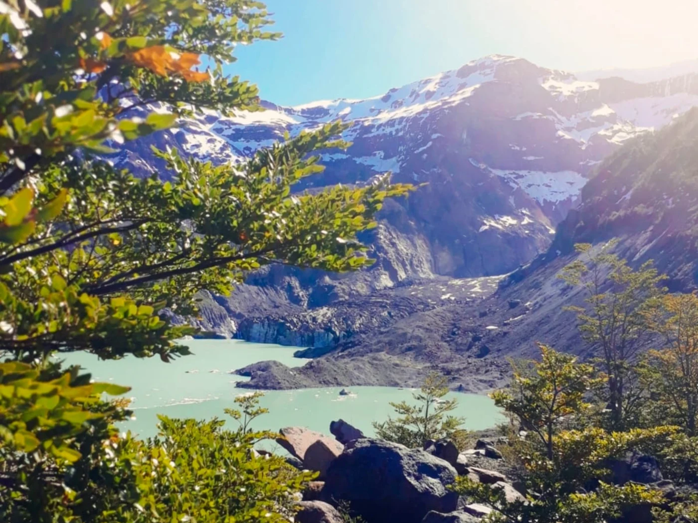 Actividad Bariloche: Cerro Tronador y Ventisquero Negro
