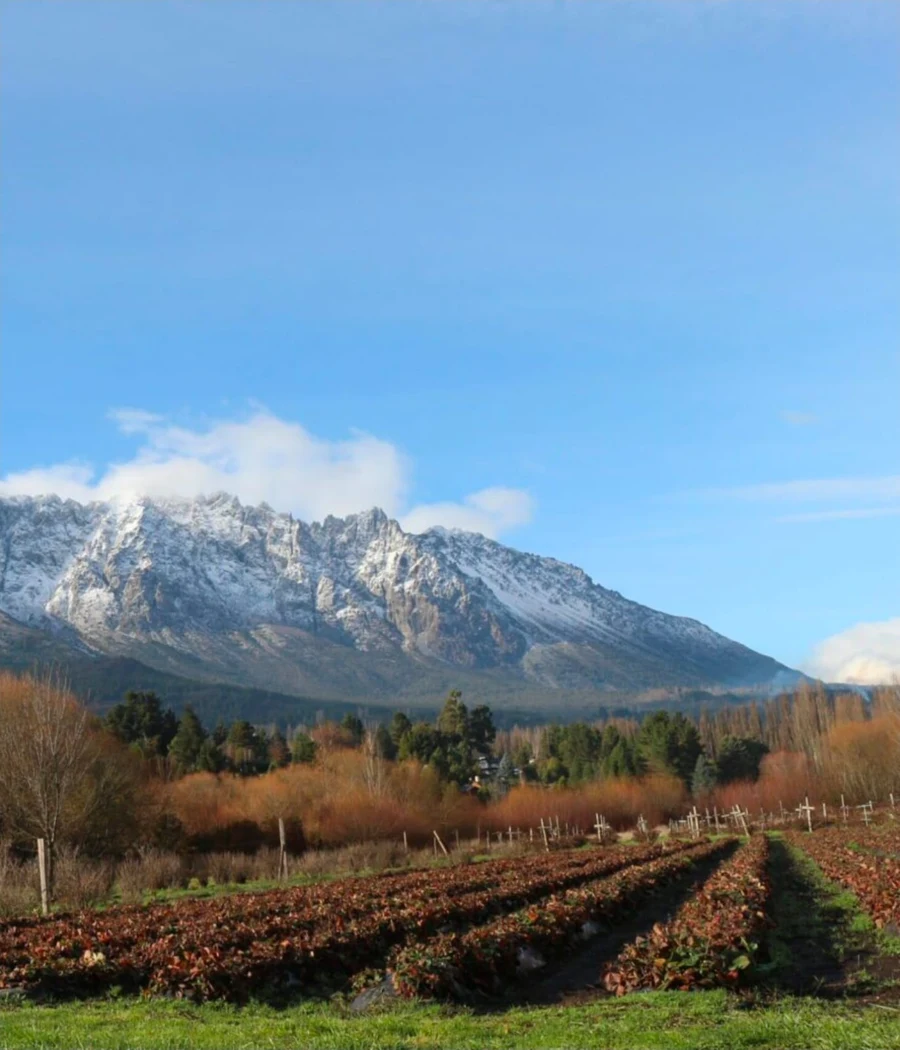 Actividad Bariloche: Viví y disfruta el Bolsón y Lago Puelo